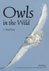 Owls_in_the_wild