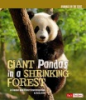 Giant_pandas_in_a_shrinking_forest