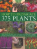 How_to_propagate_375_plants