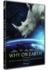 Why_on_earth